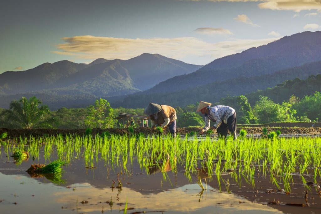 farming